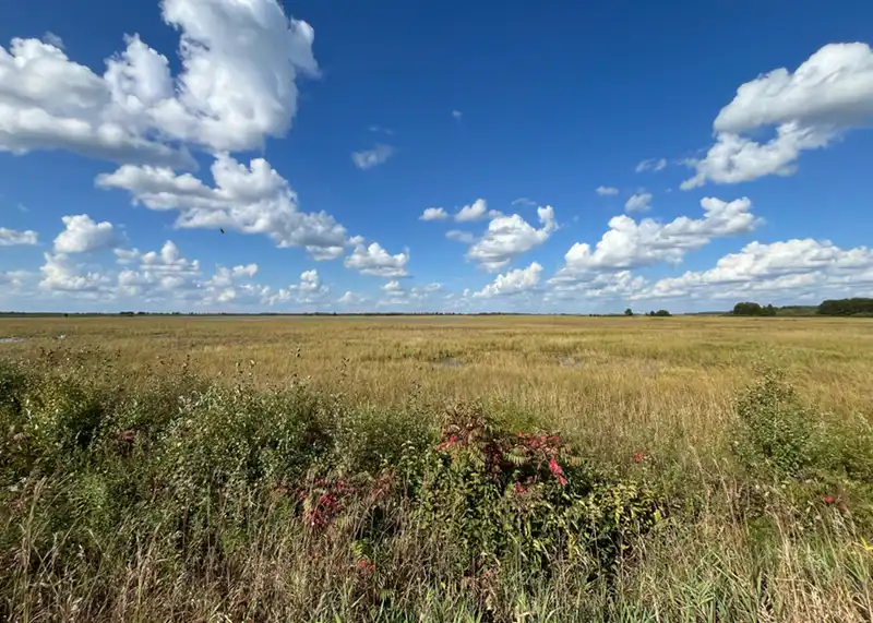 Crex Meadows