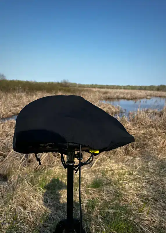 Mcquarrie Wetland