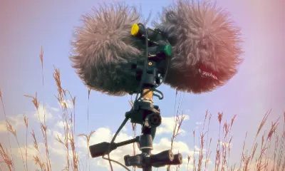 Schoeps Mics With Rycote Bbg