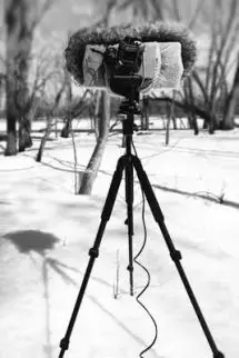 10 Must-Have Items For Recording Nature Sounds! 5 Camera Tripod Used For Nature Recording